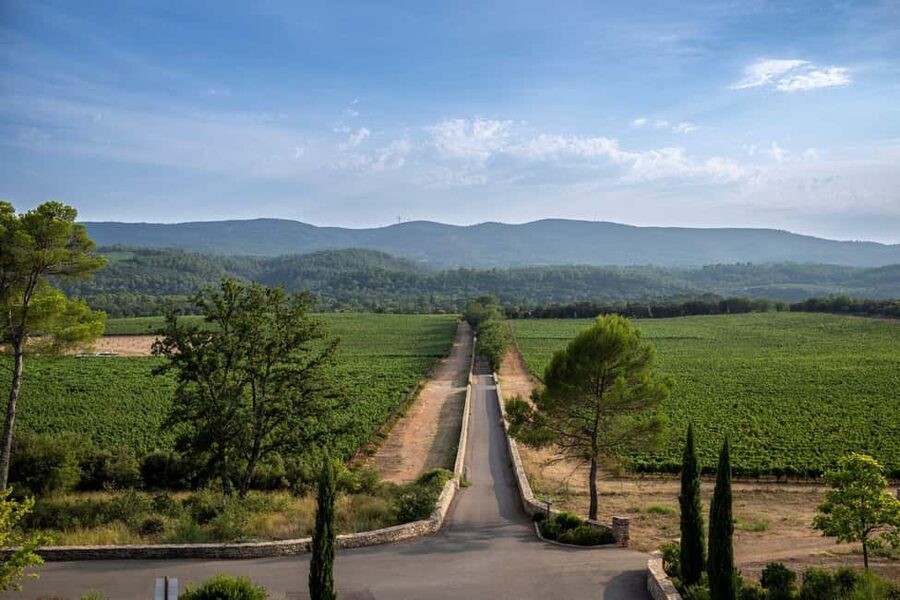 From Nice: Provence Wine Full-Day Tour - The Final Estate: Gardens, a Stunning Cellar, and Organic Certified Wines