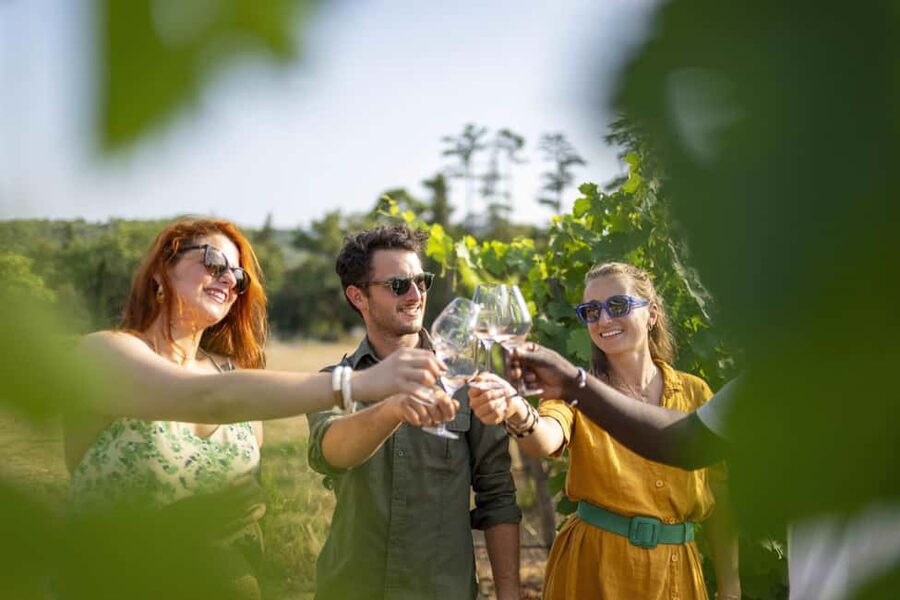From Nice: Provence Wine Full-Day Tour - How Much Is $211 Worth for a Provence Wine Full Day?