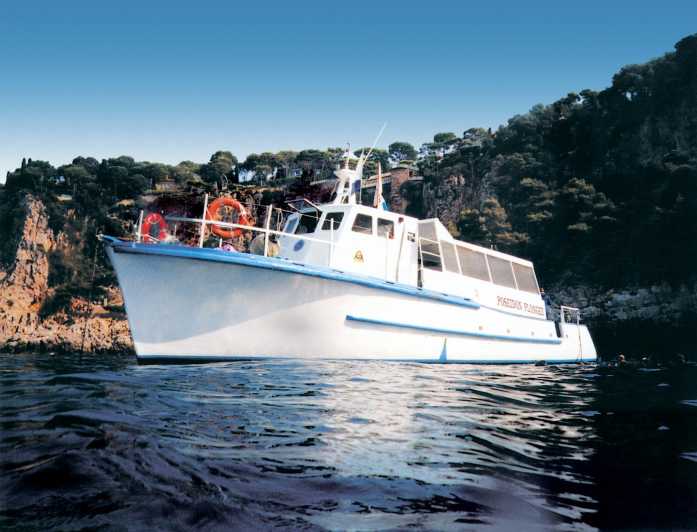 From Nice: Villefranche Bay Swimming & Snorkeling Boat Tour - A 2-Hour Nice-to-Villefranche Escape That Keeps It Simple