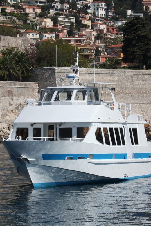 From Villefranche-sur-Mer: Guided Dolphin-Watching Tour - With a Cetacean Ethologist: What the Commentary Adds