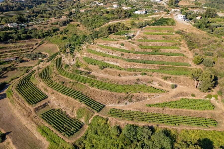 Full-Day Wine Tour in Bellet & Saint-Paul de Vence From Nice - The Minivan Drive, Where the Guide Sets Up the Day