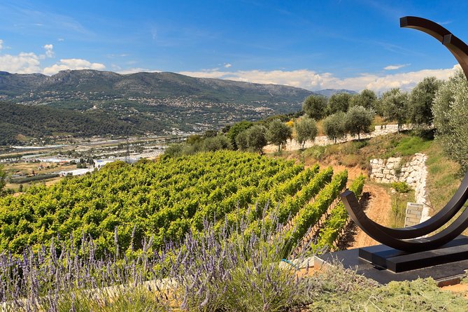 Full-Day Wine Tour in Bellet & Saint-Paul de Vence From Nice - Starting Point in Nice, and Why the Meeting Spot Is a Plus