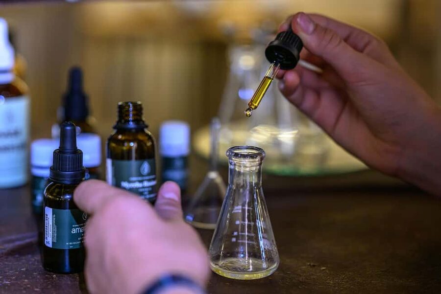Grasse: 100% natural perfume creation workshop - The plant-to-perfume transformation: how natural character shows up in the final scent