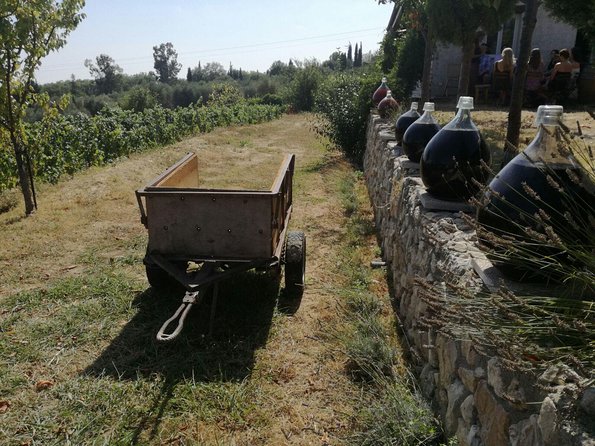 Half-Day Wine Tasting and Saint Paul de Vence Tour from Nice - Key highlights you can count on