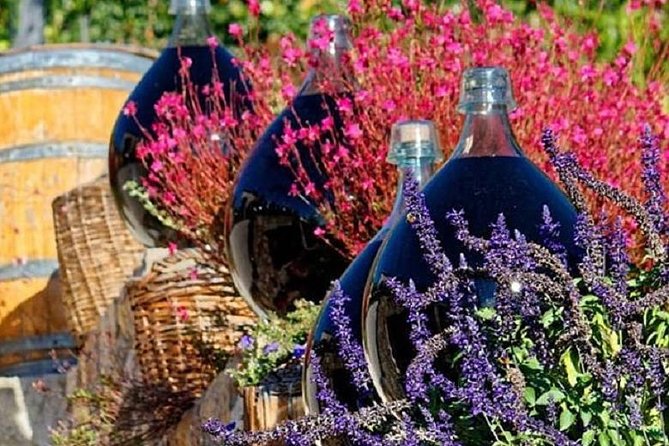 Half-Day Wine Tasting and Saint Paul de Vence Tour from Nice - Guides and hosts: where this tour really wins
