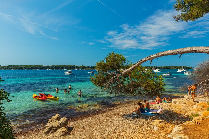 Ile Sainte-Marguerite Ferry & Corniche d'Or Cruise Combo from Cannes - Île Saint-Marguerite on your own: trails, birds, plants, and a pond stop