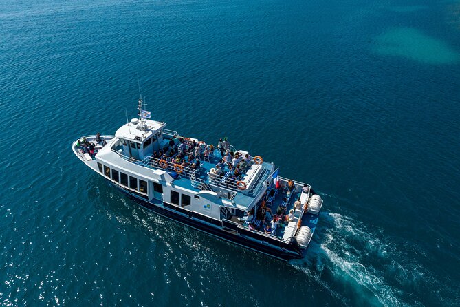Mediterranean Coastal Sightseeing Cruise from Nice - Timing That Actually Fits: Morning vs Afternoon