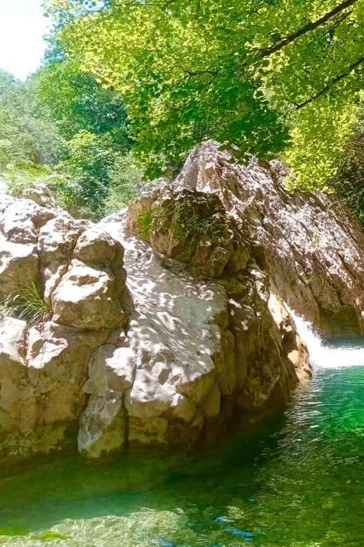 Mountain Train Experience: Hike & Mystic Forest (From Nice) - Key things that make this tour worth your attention