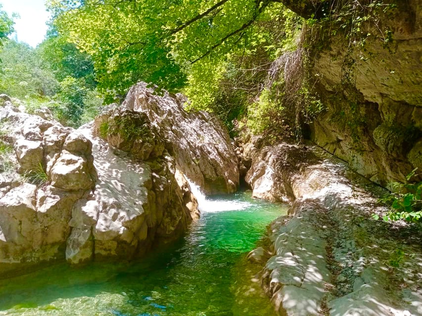 Mountain Train Experience: Hike & Mystic Forest (From Nice) - Meeting in Nice, then committing to a full day (with a possible earlier exit)