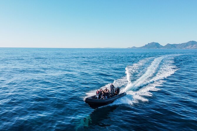 Nautical excursion - Cannes-St Tropez - Should you book the Cannes to Saint-Tropez nautical day trip?