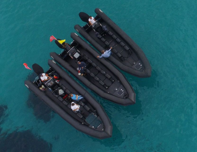 Nice: 1h30 nautical excursion to Cap Ferrat - Weather and route changes: why your plan should stay flexible