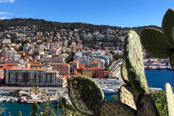 Nice City Best Highlights E-bike Tour - Castle Hill by e-bike: the park, the waterfall, and the stairs option