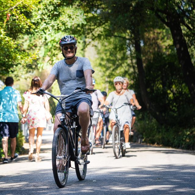 Nice: E-Bike City Highlights Tour - The Big Payoff, Castle Hill Views Without the Exhaustion