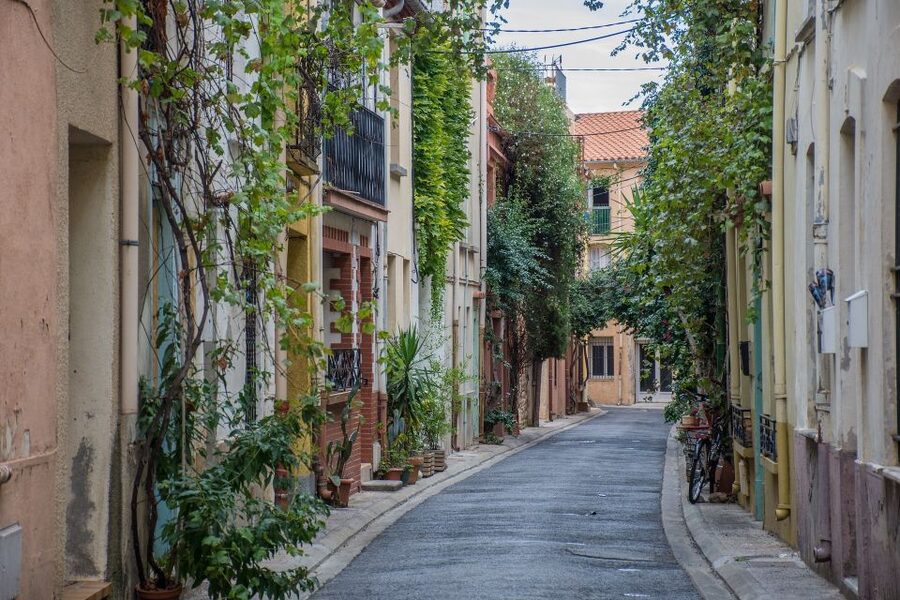 Nice: Exclusive Private Guided Tour of Historic Center - Cours Saleya: the flower-market area and the local rhythm of Nice