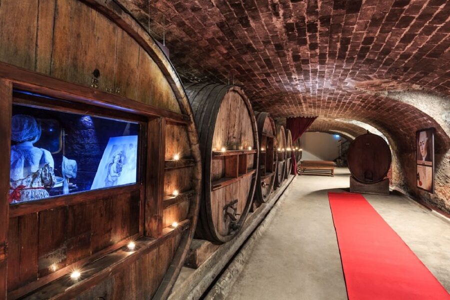 Nice: Full-Day Côtes de Provence Wine Tour - Why Côtes de Provence Feels Different When You Do It By the Glass