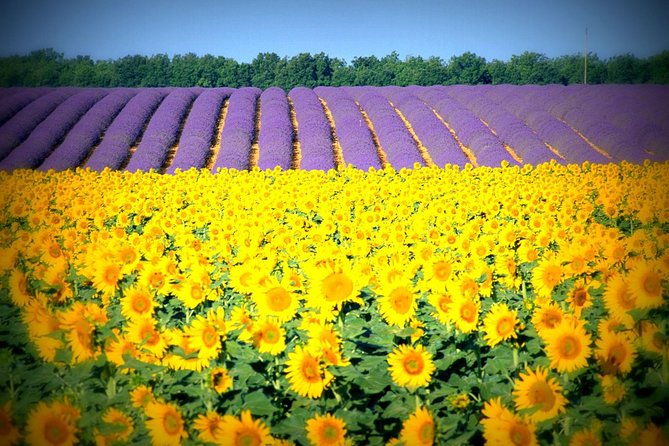 Nice: Gorges of Verdon and Fields of Lavender Tour - Moustiers-Sainte-Marie: Ceramics, Free Time, And A Lunch Break With Views