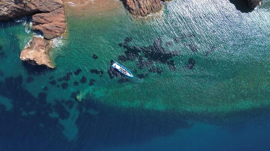 Nice: Lerins Islands Boat Tour with Snorkeling - Speedboat from Nice to Lerins Islands, with real Riviera views