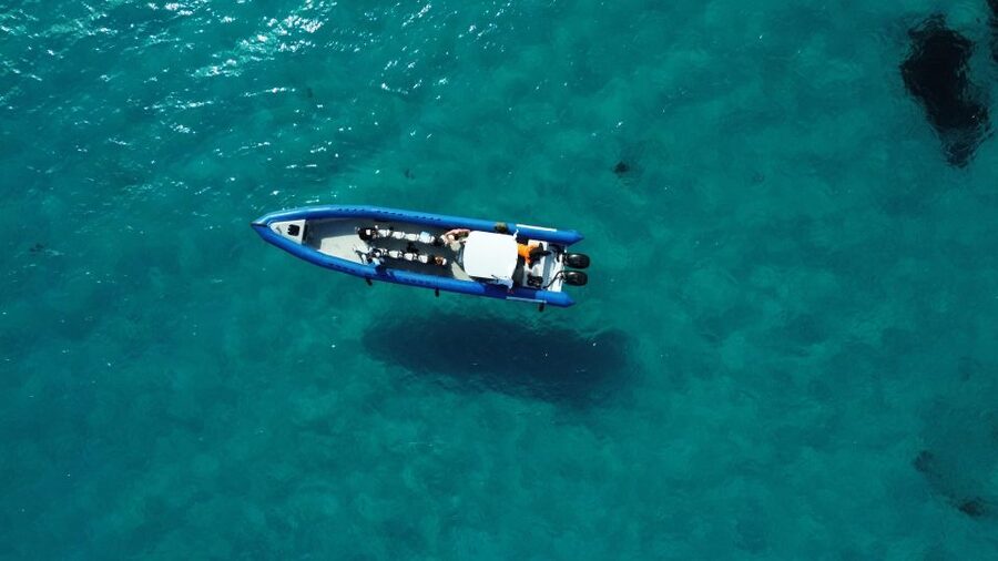 Nice: Lerins Islands Boat Tour with Snorkeling - Sainte-Marguerite Island breaks, gardens, vineyards, and island cafes