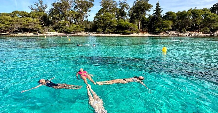 Nice: Lerins Islands Boat Tour with Snorkeling - Snorkeling the Jason deCaires Taylor Underwater Ecomuseum