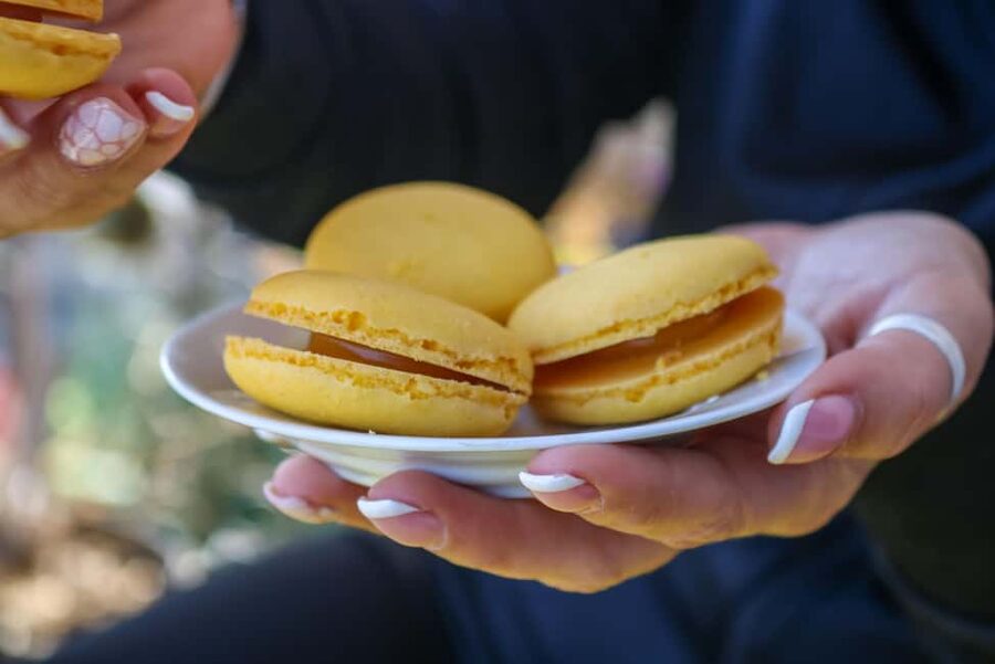 Nice: Old Town Food Walking Tour - Price and Value: Is $141 Worth It in Nice?