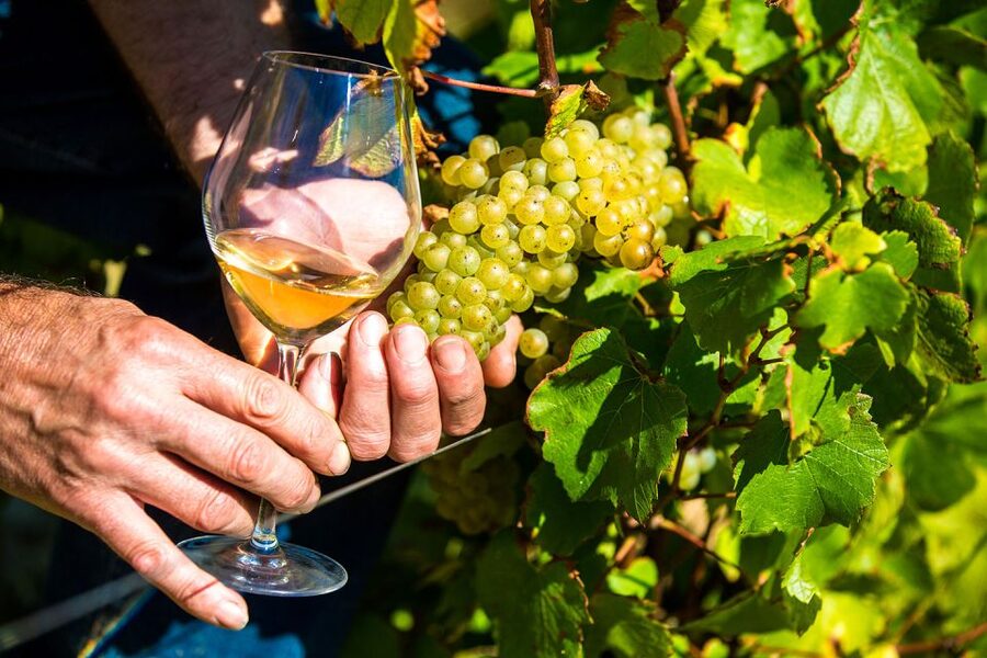 Nice: Provence Village Tour with Wine and Produce Tasting - Key highlights you should not miss
