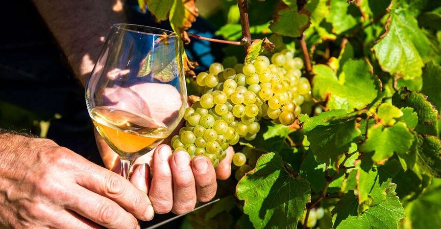 Nice: Provence Village Tour with Wine and Produce Tasting - Starting in Nice: a smooth morning with air conditioning and real context