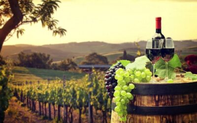 Provence Village Tour with Wine and Produce Tasting