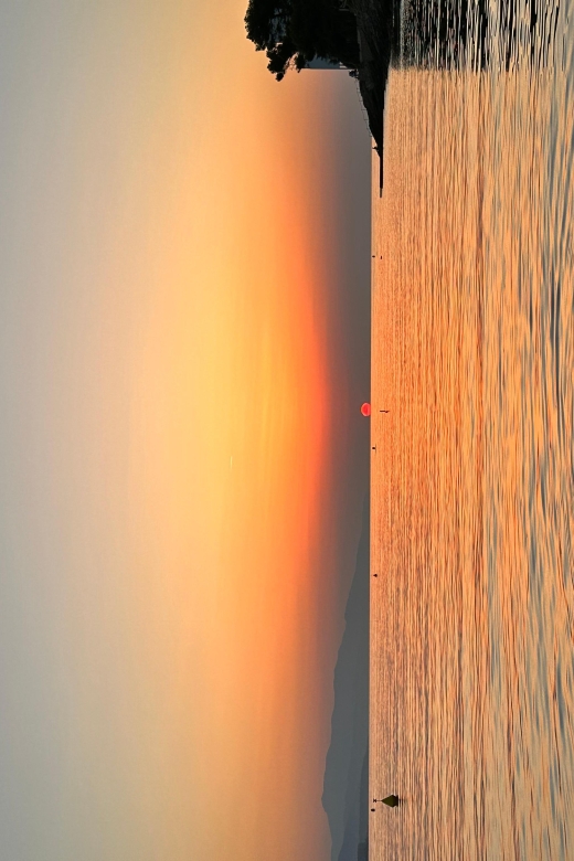 Nice: Saint Jean Cap Ferrat Sunrise Boat Trip with Breakfast - Dolphin watching at the right time on the water