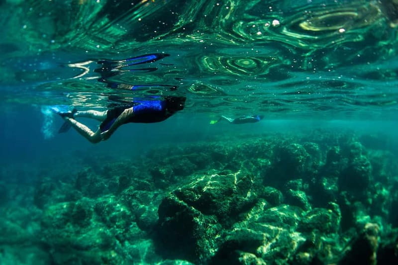 Nice: Snorkeling Speedboat Tour in Villefranche Bay - Key highlights at a glance