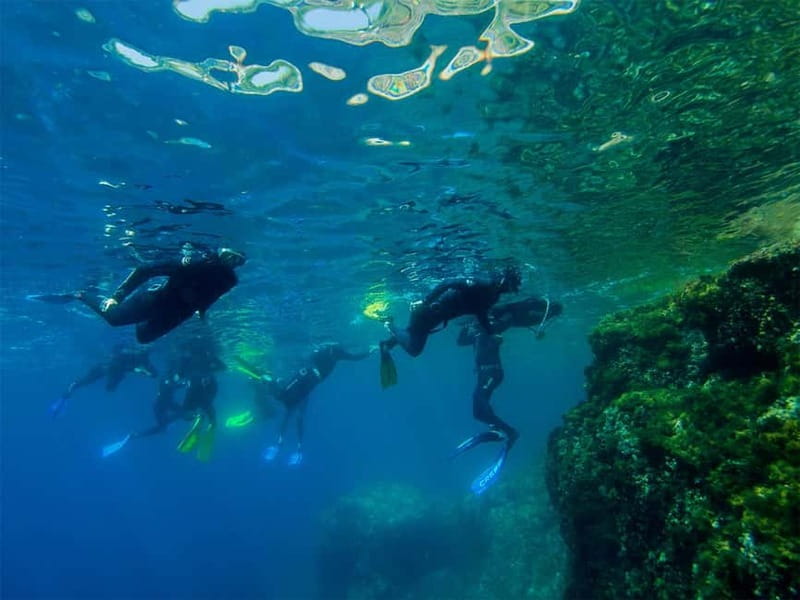 Nice: Snorkeling Speedboat Tour in Villefranche Bay - Getting outfitted: wetsuit, mask, fins, and how to use them fast