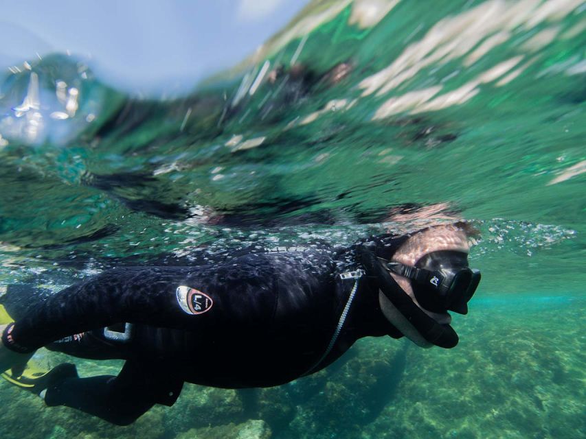 Nice: Snorkeling Speedboat Tour in Villefranche Bay - The Villefranche-sur-Mer snorkeling hour: what you actually do in the water