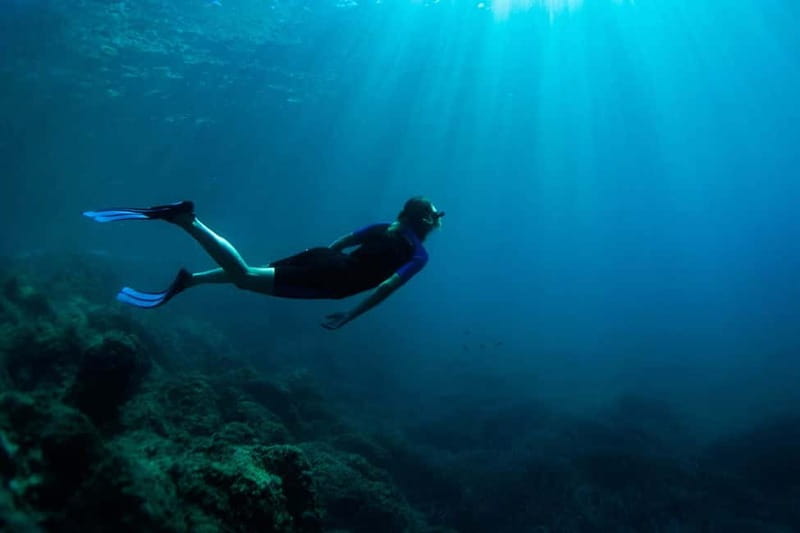 Nice: Snorkeling Speedboat Tour in Villefranche Bay - Who this is best for, and who should skip it