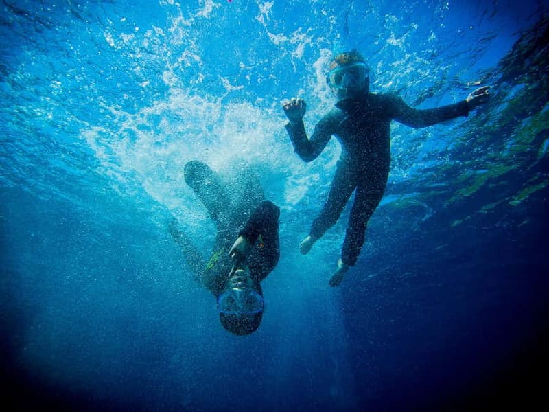 Nice: Snorkeling Speedboat Tour in Villefranche Bay - Meeting at Nice Port: what I found most practical about the setup