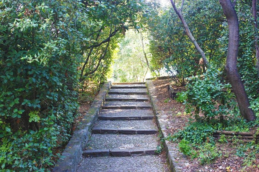 Nice: Theatrical History Tour - Secrets of the Castle Hill - Stop 3 at Colline du Château, Then Back to Your Start