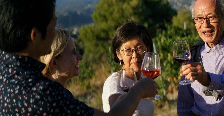 Nice: Vineyard Tour with Wine Tasting - Château de Bellet: The Views Are the Warm-Up Act