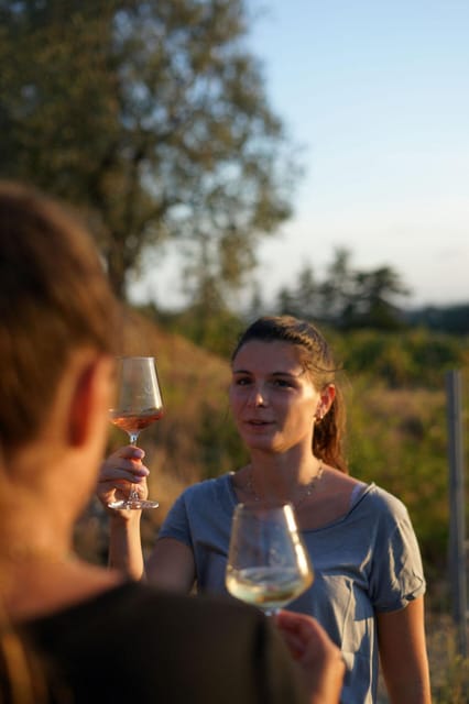Nice: Vineyard Tour with Wine Tasting - Wine Tasting with a Sommelier: 3 Wines, Real Guidance, No Guesswork