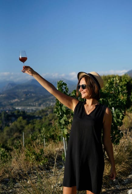 Nice: Vineyard Tour with Wine Tasting - Price and Value: What $38 Buys You in Real Terms