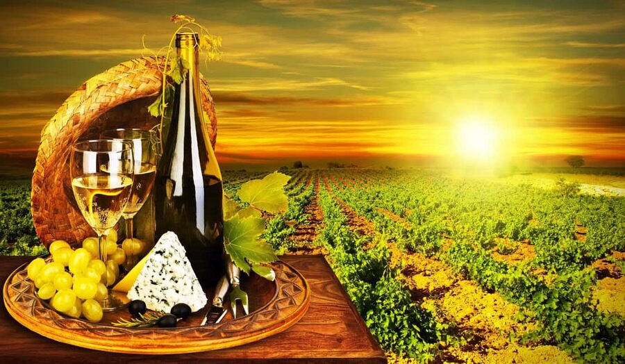 Organic Wine Tasting with Saint paul Half Day Tour from Nice - How This Half-Day Pairing Feels Like Two Trips in One