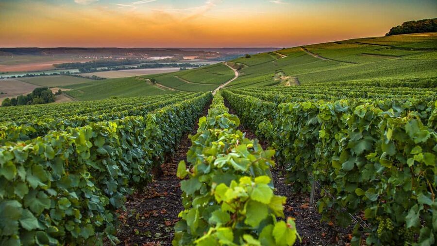 Organic Wine Tasting with Saint paul Half Day Tour from Nice - Saint Paul de Vence: The Hilltop Stop That Can Feel Like a Blink