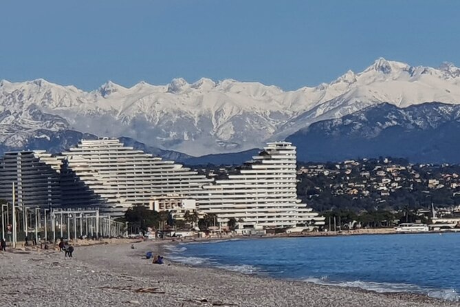Private Customized French Riviera Tour from Port of Cannes 8H - Monaco and Monte Carlo: Cathedral, Palace Area, and the Casino Factor