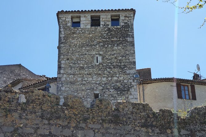 Private Customized French Riviera Tour from Port of Cannes 8H - Price for a Group Up to 8: Is This Worth It?