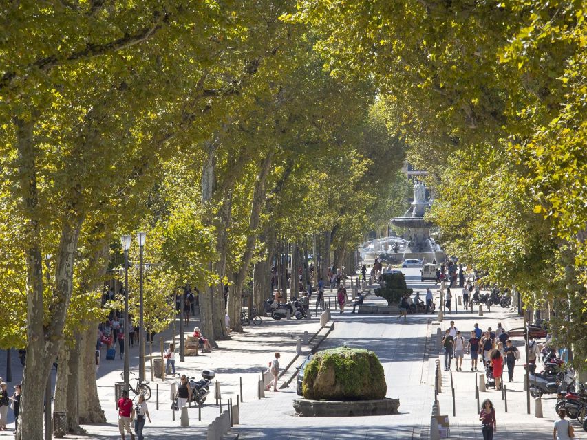 Private Day Trip to Provence and Lavender Fields - Key things to know before you go