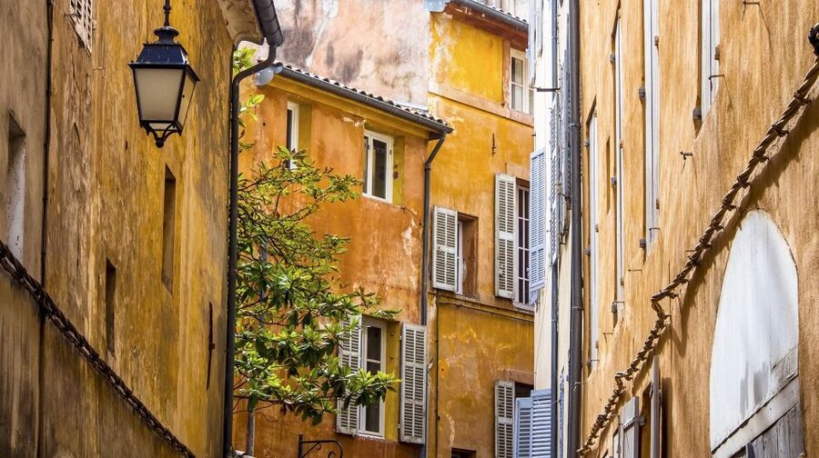 Private Day Trip to Provence and Lavender Fields - Should you book this Provence and lavender private day trip?