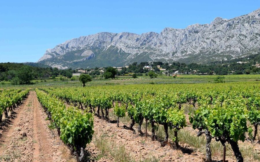 Private Day Trip to Provence and Lavender Fields - Driving the vineyards: Côte de Provence and Coteaux d’Aix, plus a winery option