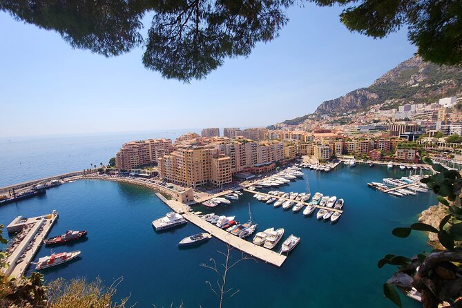 Private excursion Cruise stopover on the French Riviera - Casino de Monte-Carlo: Morning Touring and a Passport Check for Playing