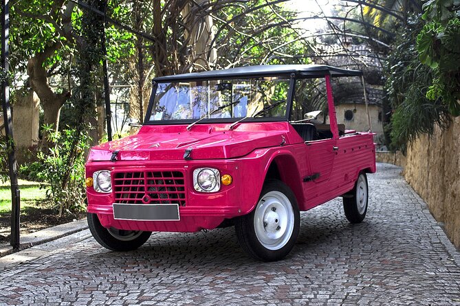 Private excursion from Villefranche in Citroën Méhari to Eze and Monaco - Prince’s Palace, cathedral, and the Oceanographic Museum choice