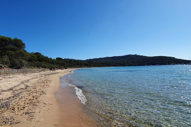 Private full-day boat trip to Porquerolles - Key highlights to know before you go