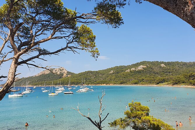 Private full-day boat trip to Porquerolles - The skipper and the pacing: getting the most from sea time