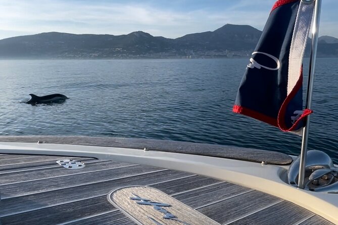 Private Luxury Boat Tour of the Beautiful Riviera Nice / Monaco - Beaulieu-sur-Mer and Villa Kérylos: getting context before you hit Monaco