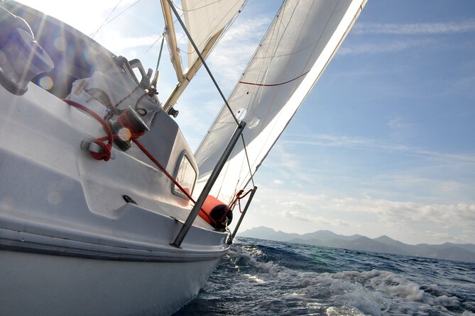 Private sailing excursion & Provencal picnic - The Provencal lunch and rosé: what’s included, what to expect, and where it feels personal